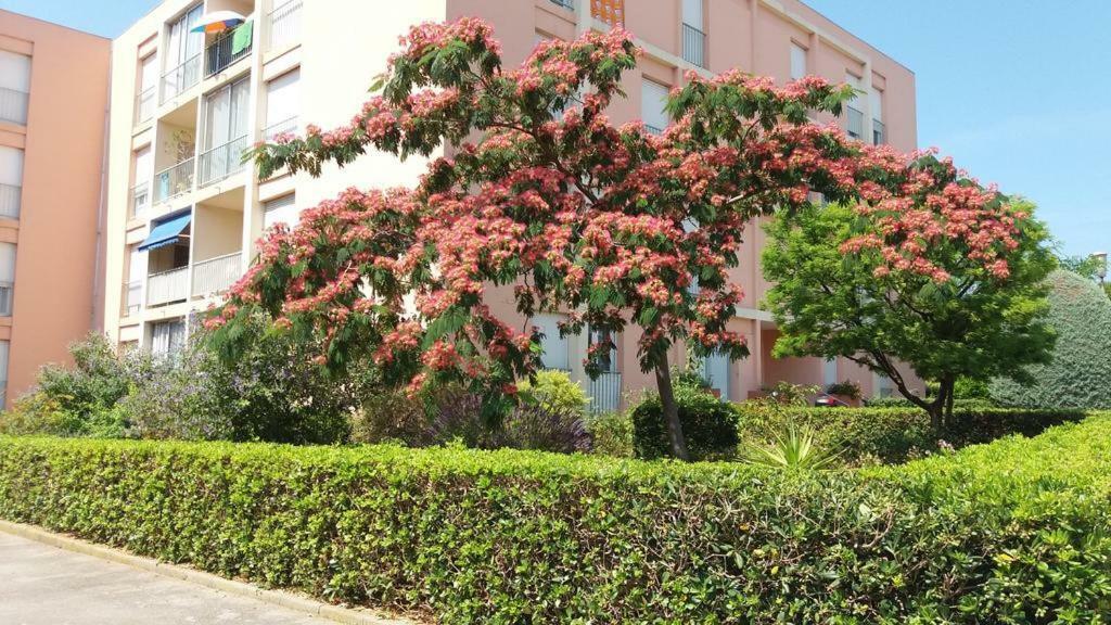 T3 Spacieux Et Lumineux A 5Min Du Port De Sanary - Fleur De Mai Apartment Exteriör bild